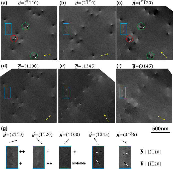 场发射达州扫描电镜