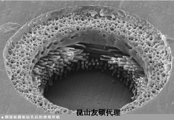 达州蔡司达州扫描电镜